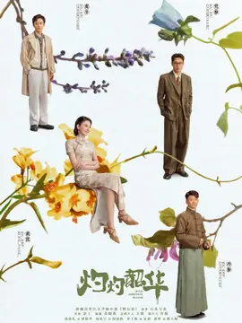 灼灼韶华剧情介绍封面图