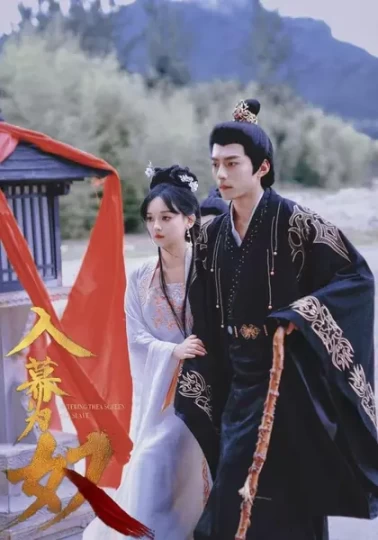 入幕为奴封面图